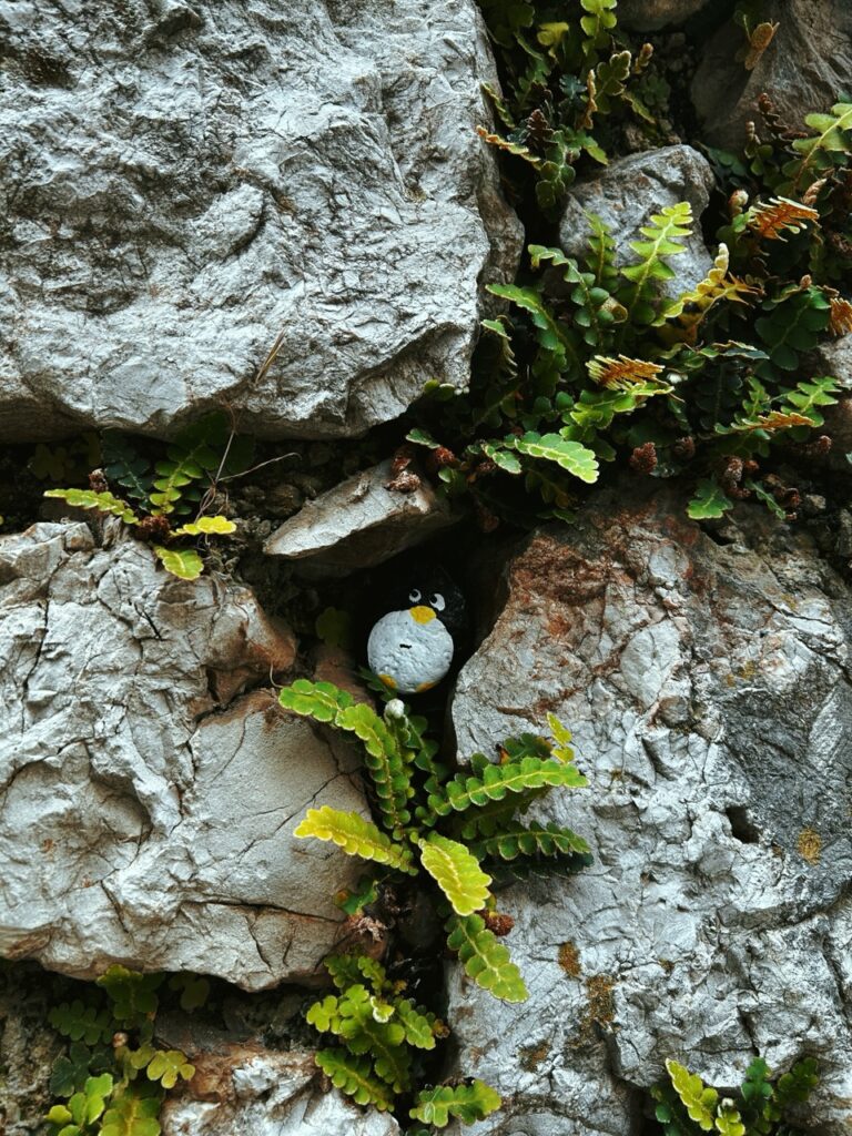 #113 – Stone Wall, Vrbnik, Croatia