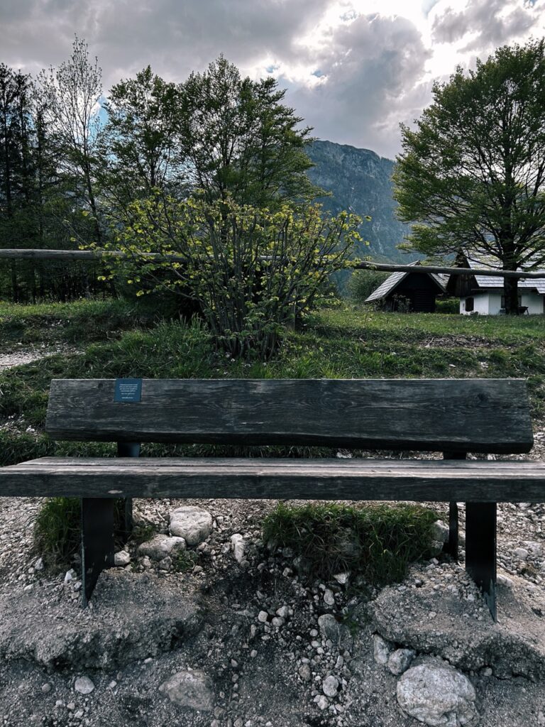 #126 – Bohinj Lake, Bohinj Valley, Slovenia