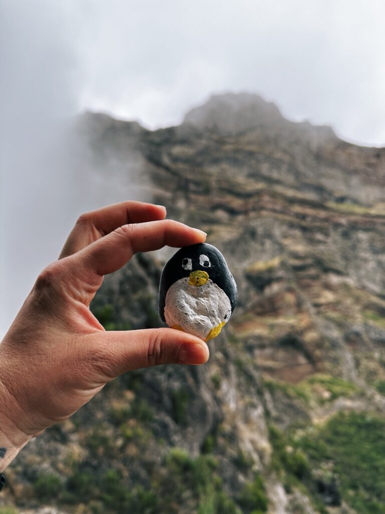 #15 – Vereda do Areeiro, Madeira, Portugal