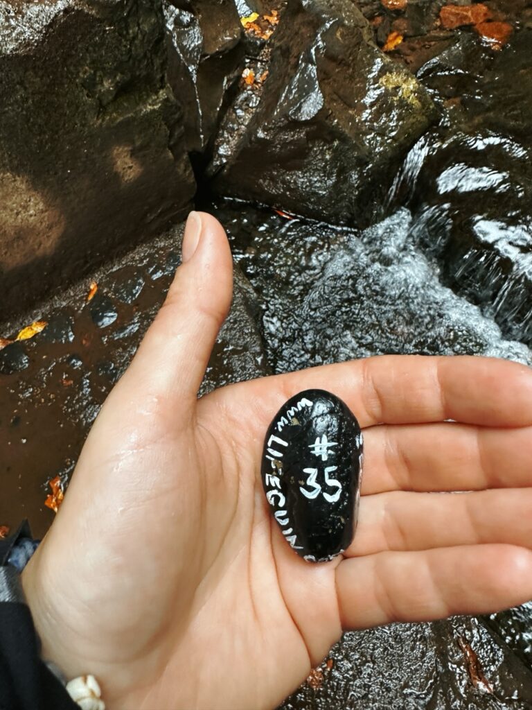 #35 – Levadas das 25 Fontes (PR6), Madeira, Portugal