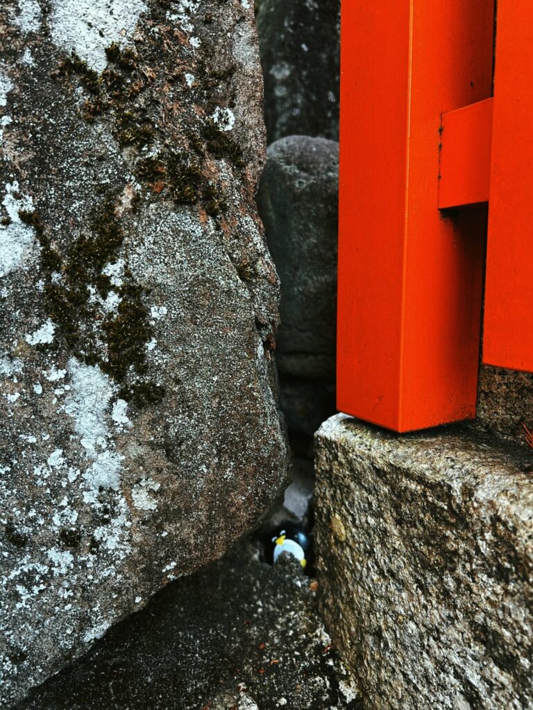 #89 – Fushimi Inari Taisha, Kyoto, Japan