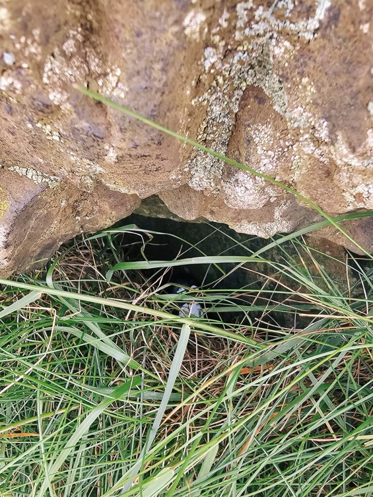 #147 – Arthur’s Seat, Edinburgh, Scotland