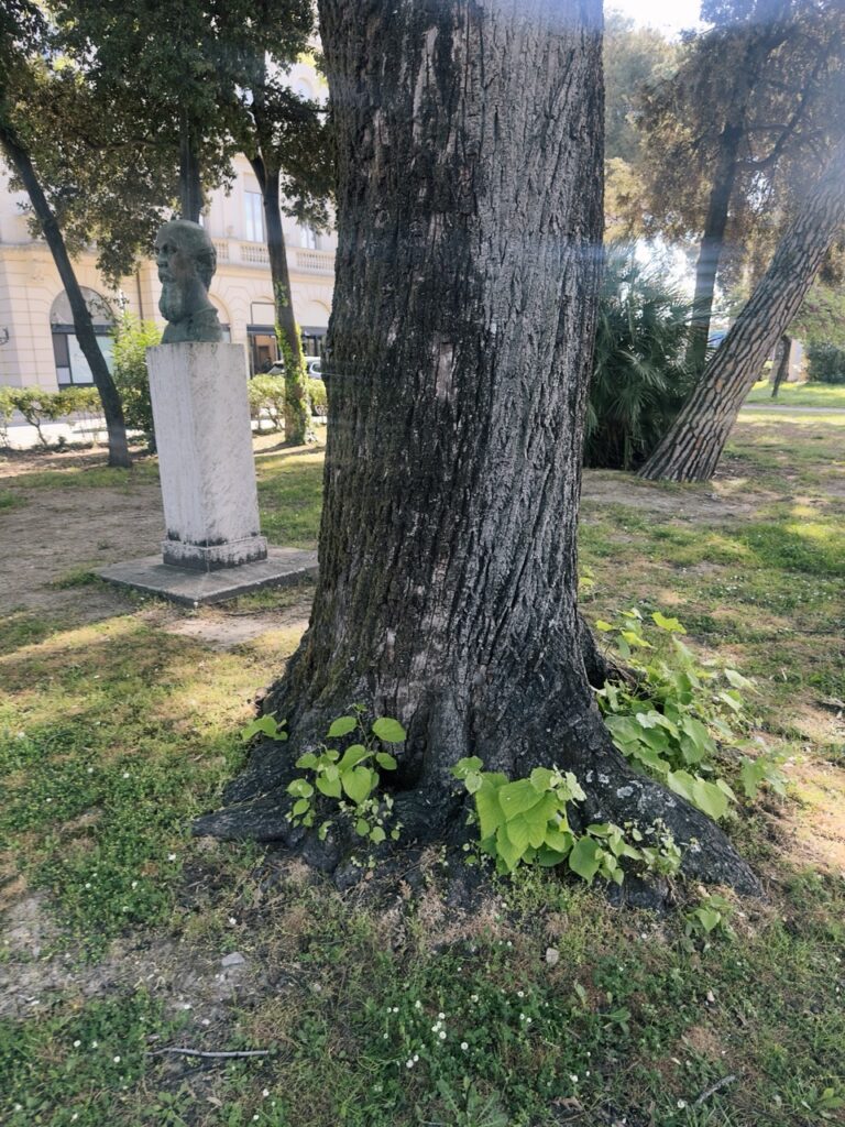 #264 – Parco Federico Fellini, Rimini, Italy