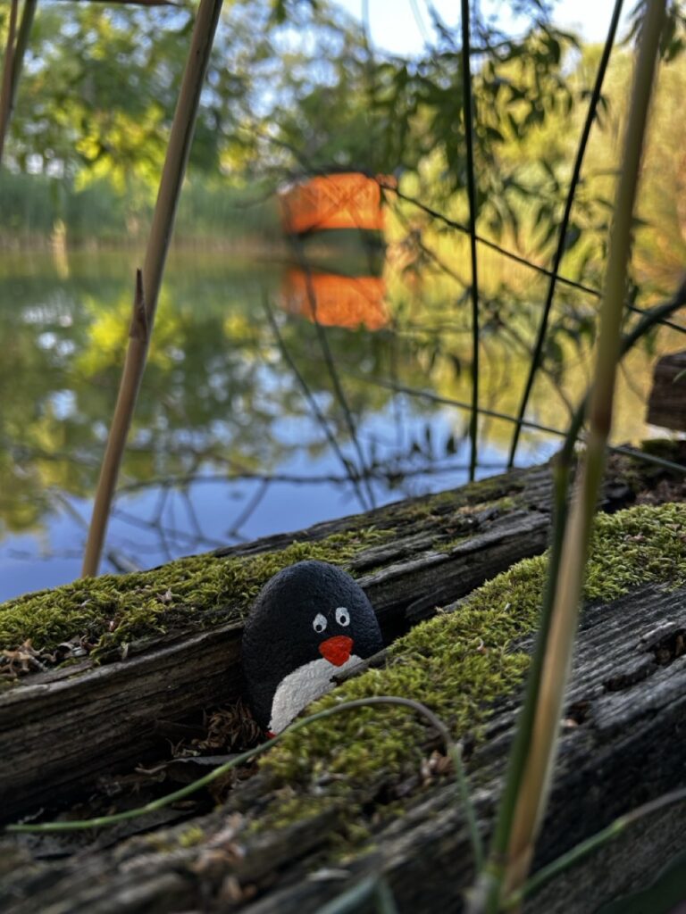 #286 – Pest County, middle of nowhere, Hungary