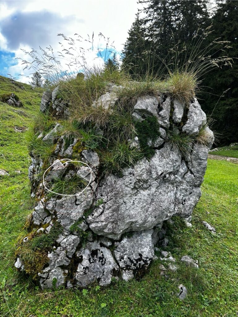 #326 – Alpkäserei Grosshütten,  Switzerland