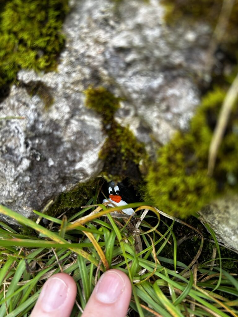 #326 – Alpkäserei Grosshütten,  Switzerland
