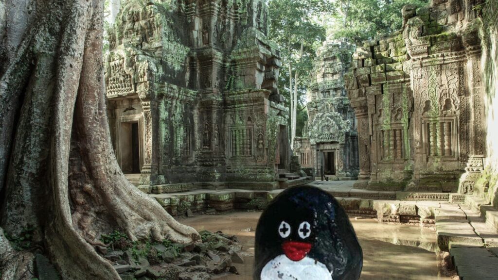 #143 – Ta Prohm Temple, Siem Reap, Cambodia