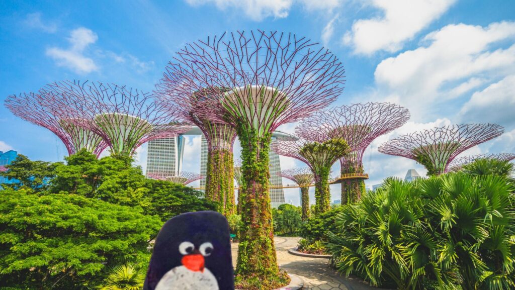 #234 – Supertree Grove, Gardens by the Bay, Singapore