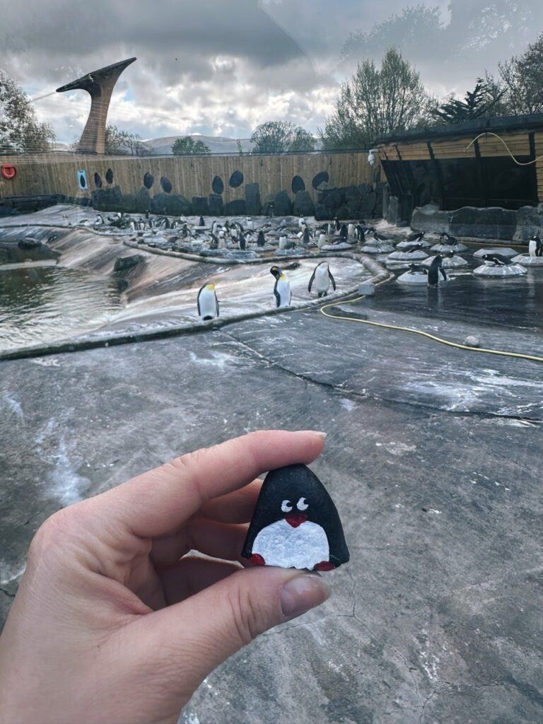#302 – Edinburgh Zoo, Edinburgh, Scotland