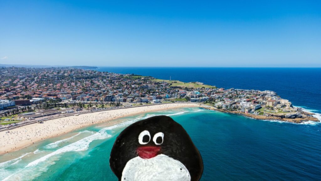 #414 – Squid Bay, Sydney, Australia