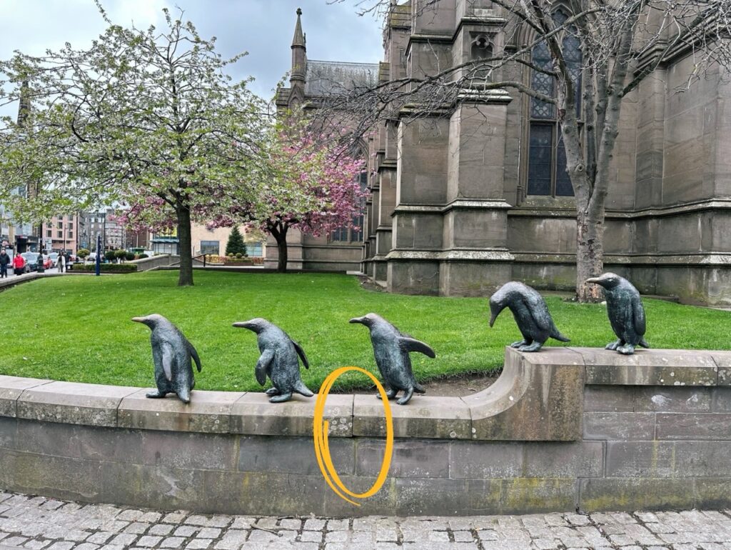 #415 – March of Penguins, Dundee, Scotland