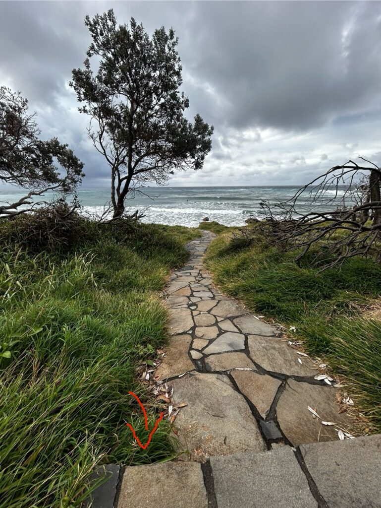 #568 – Cape Byron Lighthouse, Baron Bay, Australia