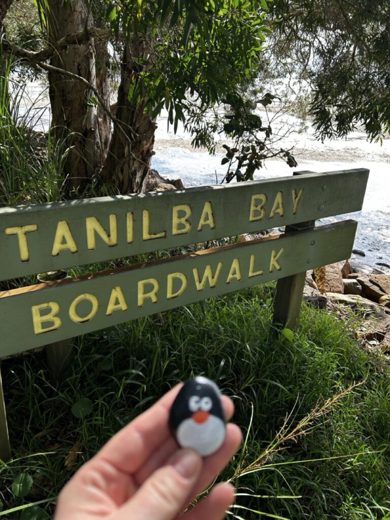 #658 – Mallabula Beach, Tilligerry Habitat, Australia