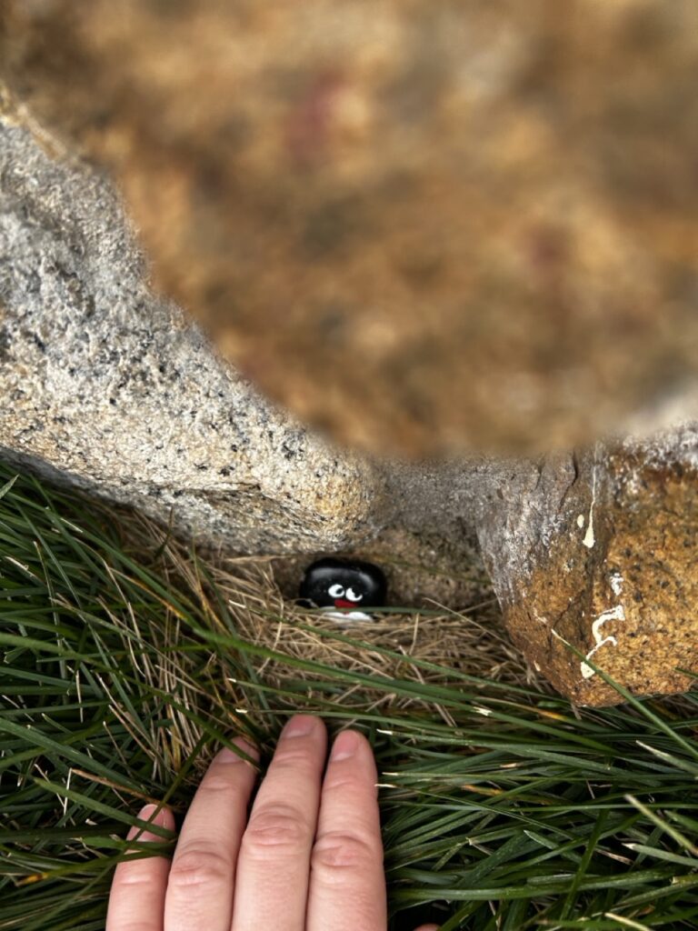 #417 – Seamans Hut, Kosciuszko National Park, Australia
