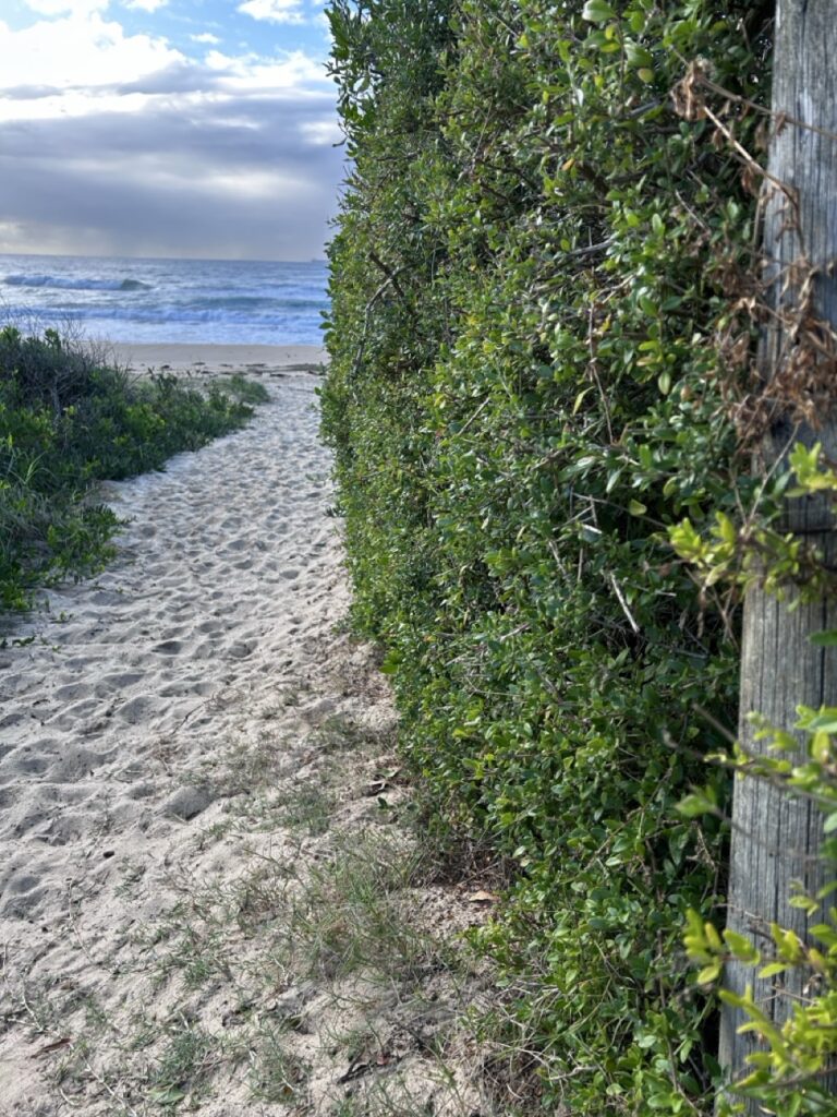 #448 – Bulli Beach, Wollongong, Australia