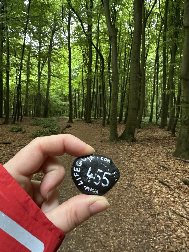 #455 – Zaruby Sedlo, Little Carpathians, Slovakia