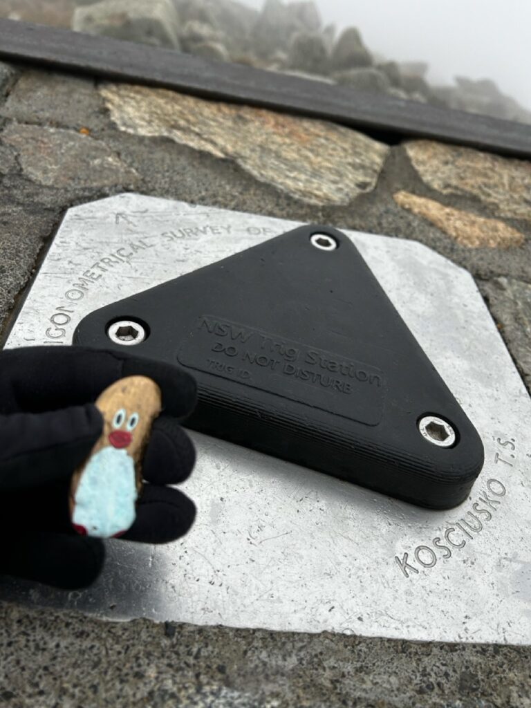 #501 (gold) – Top of Mount Kosciuszko, New South Wales, Australia