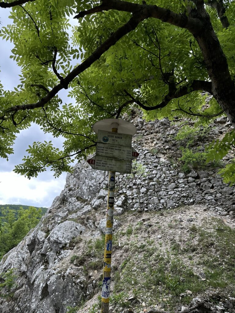 #542 – Ostry Kamen Ruins, Little Carpathians, Slovakia