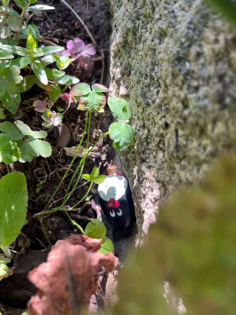 #410 – Loupin Stane, Aberdeen, Scotland
