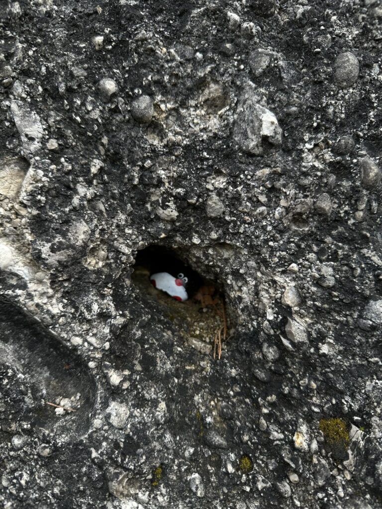 #479 – Gothic Arch, Súľov Rocks, Slovakia