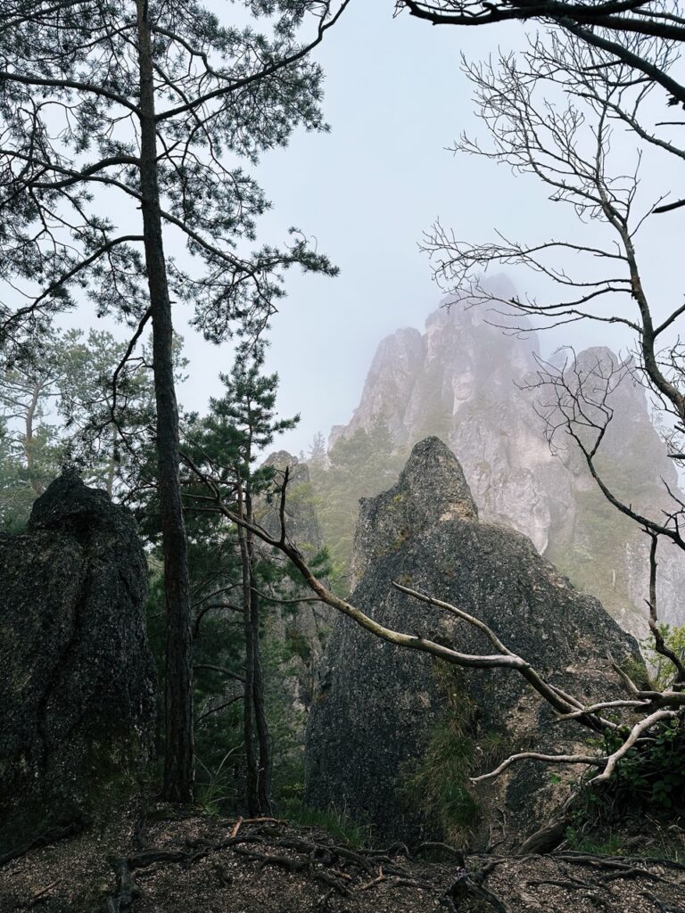 #479 – Gothic Arch, Súľov Rocks, Slovakia