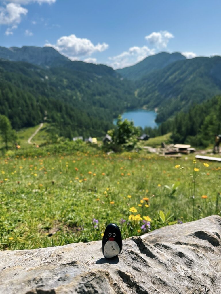 #593 – Steirersee Viewpoint, Tauplitzalm plateau, Austria