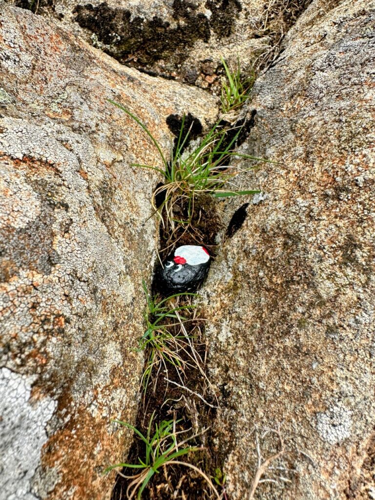 #430 – Neist Point, Cliff Lighthouse Viewpoint, Scotland