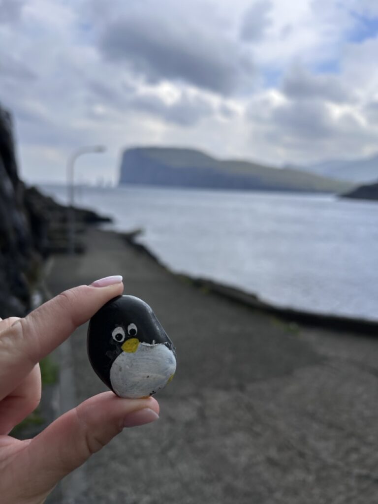 #488 – Bakkagøta, Tjørnuvík, Faroe Islands