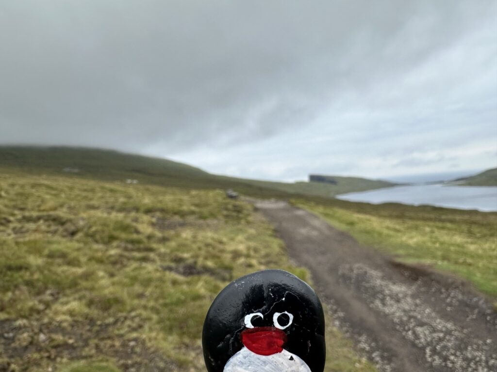#569 – Random rock, Miðvágur, Faroe Islands