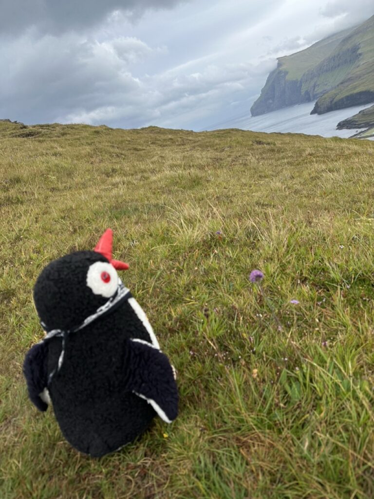 #599 – Eiði Viewpoint, Eiðiskollur, Faroe Islands