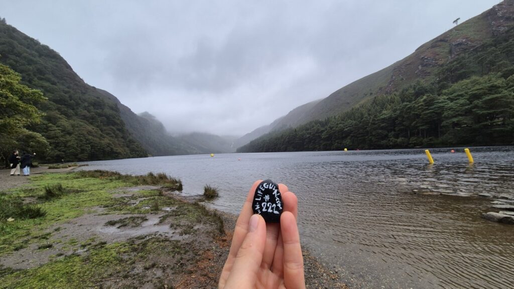 #222 – Glendalough, Knockfadda, Ireland