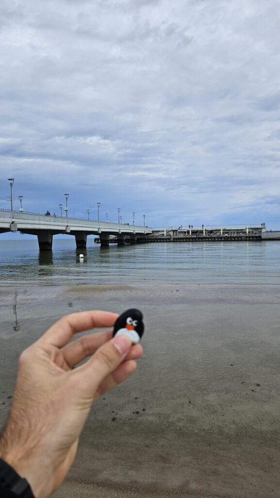 #654 – Molo w Kołobrzegu, Kołobrzeg, Poland