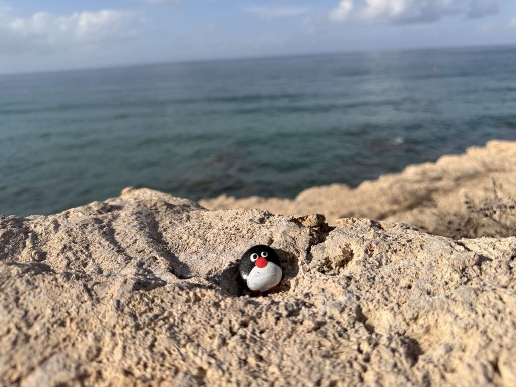 #703 – Stone at Viewpoint, Paphos, Cyprus