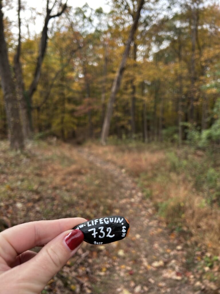 #732 – Watchung Reservation, New Jersey, USA