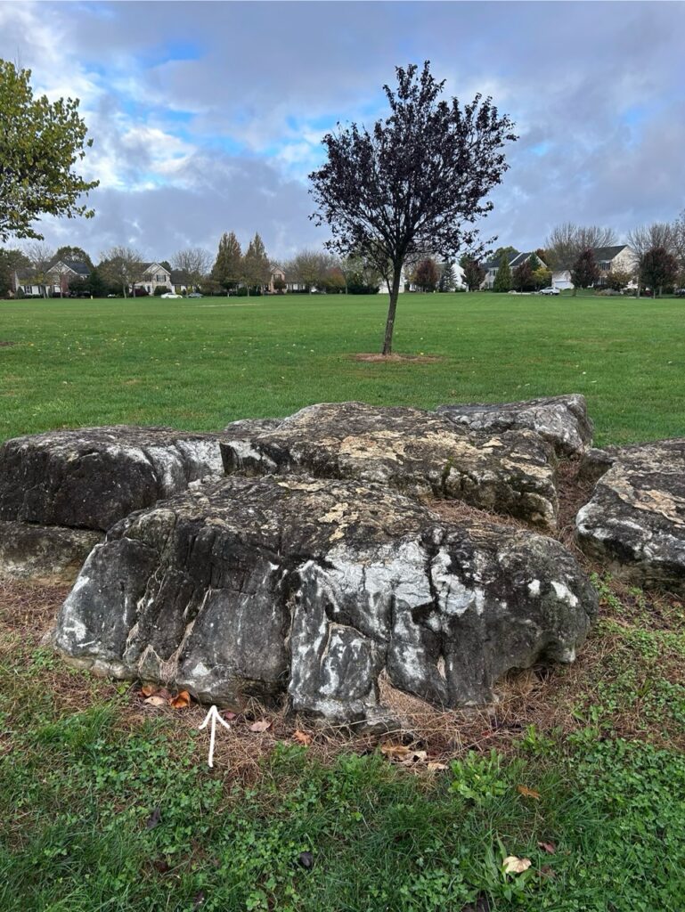 #783 – Farmington Hills Park, Macungie, Pennsylvania, USA