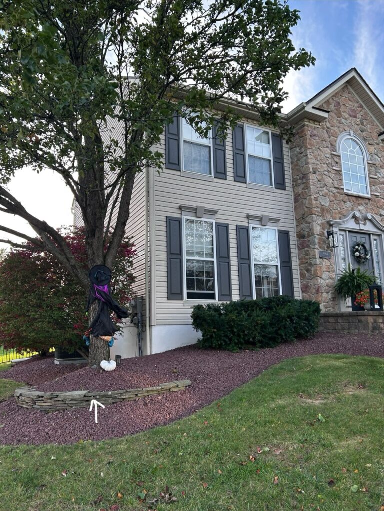 #798 – Ancient Oaks, Macungie, Pennsylvania, USA