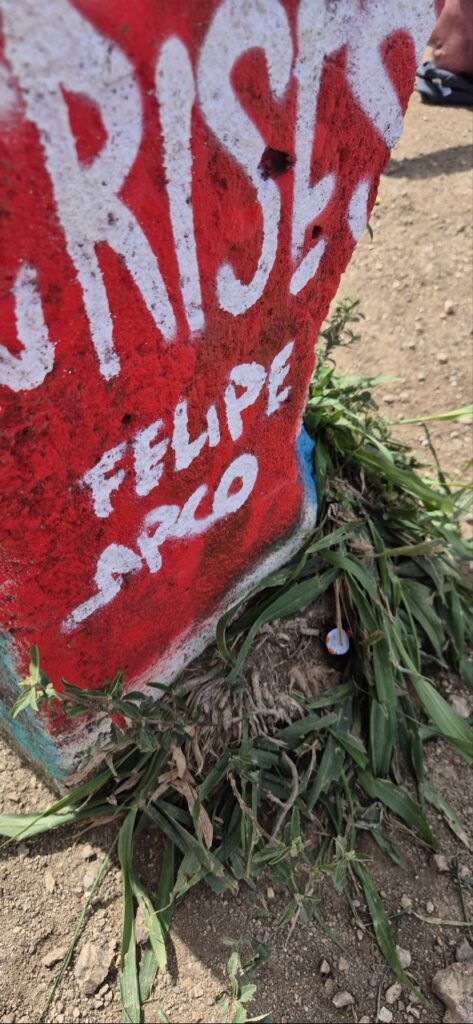 #336 – Morro dos Irmãos, Rio de Janeiro, Brazil