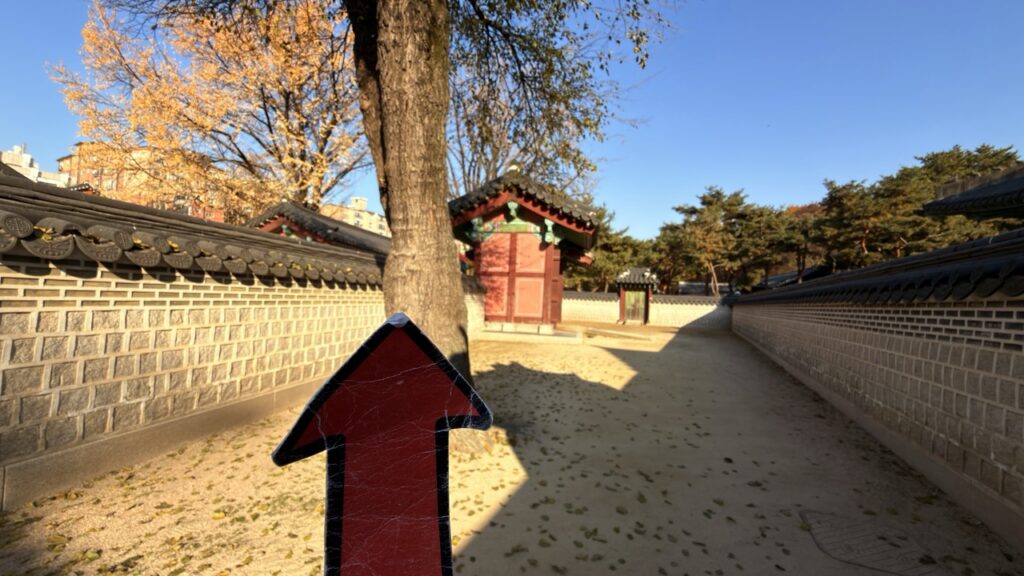 #760 – Tree at Changdeokgung Palace, Seoul, South Korea