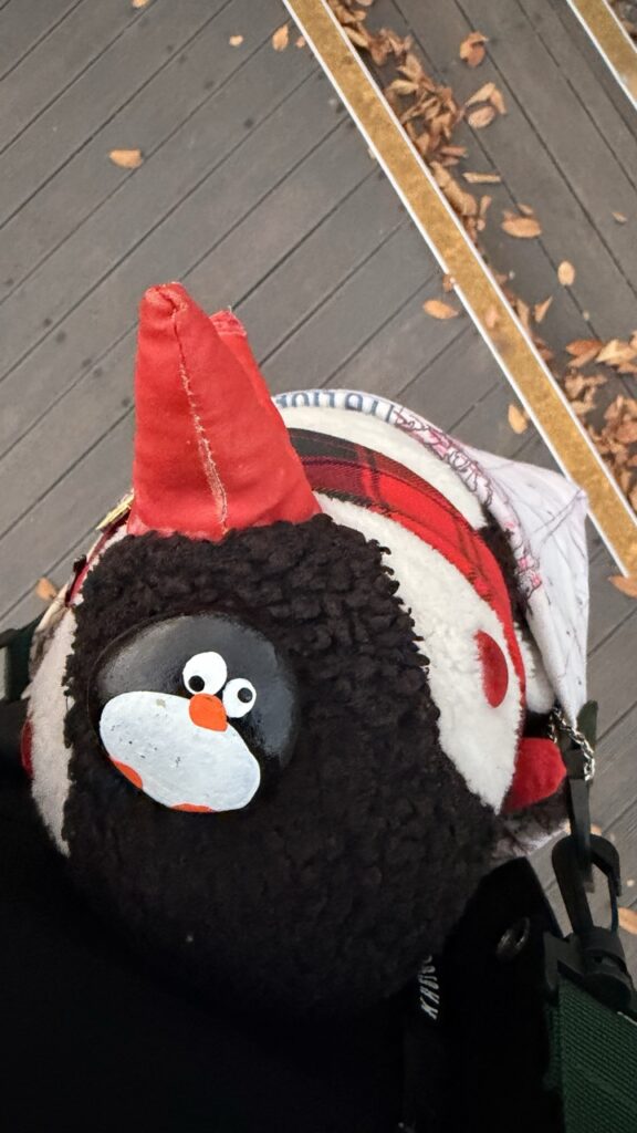 #781 – Namsan Northern Forest Trail, Seoul, South Korea
