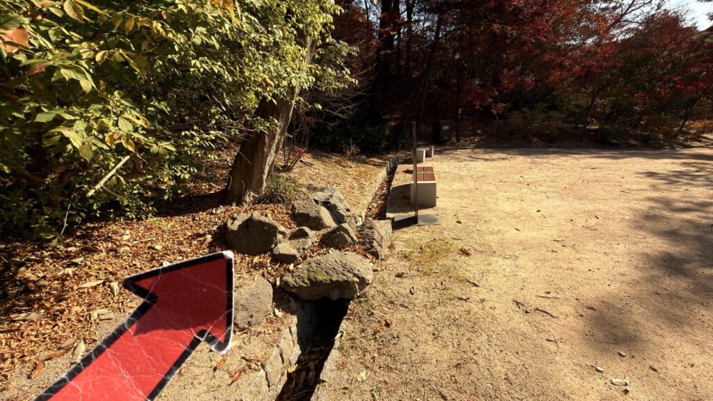 #788 – Tree at the Secret Garden, Seoul, South Korea
