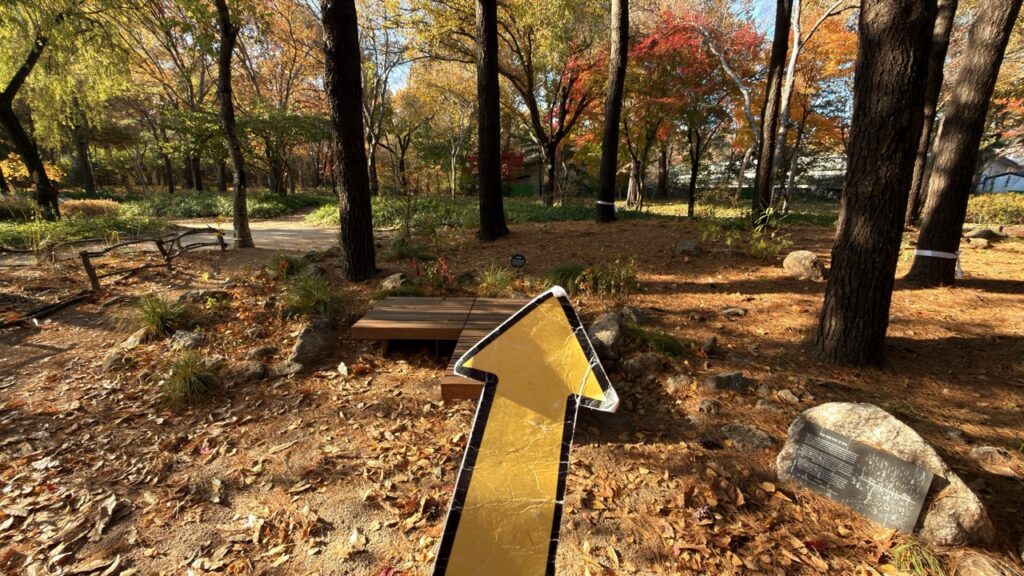 #792 – Seoul Forest, Seoul, South Korea