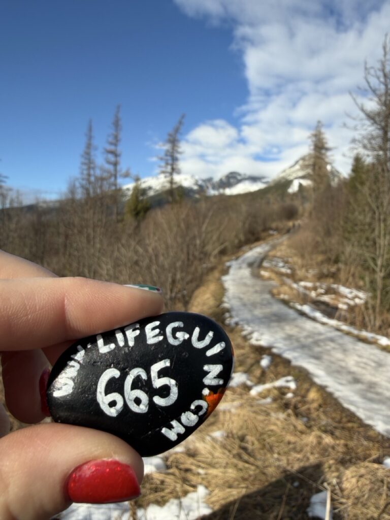 #665 – Tree Trunk, Štrbské Pleso, Slovakia