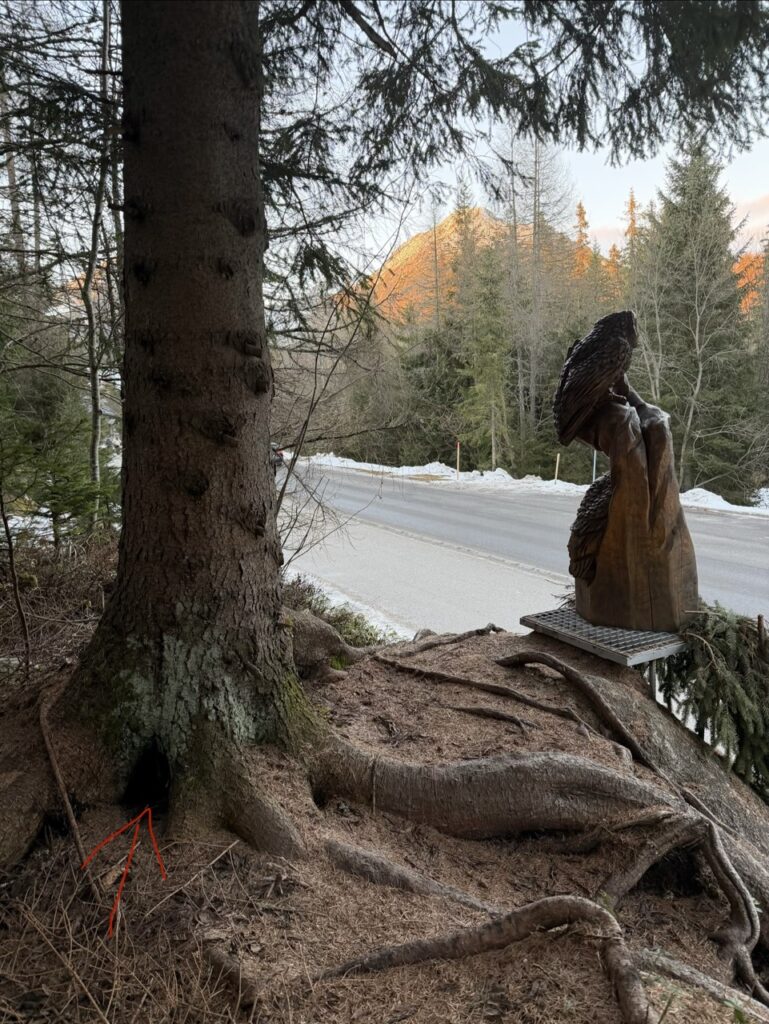 #667 – Wooden Owl Statue, Štrbské Pleso, Slovakia