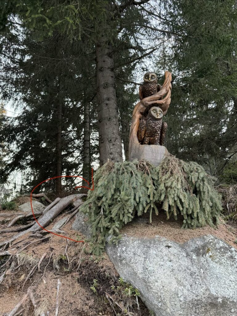 #667 – Wooden Owl Statue, Štrbské Pleso, Slovakia
