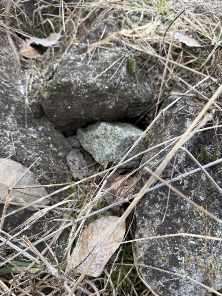 #681 – Dechrate, Liptovska Mara, Slovakia