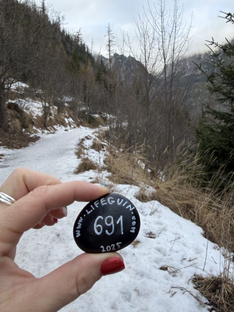 #691 – Tree at Hrebienok, High Tatras, Slovakia