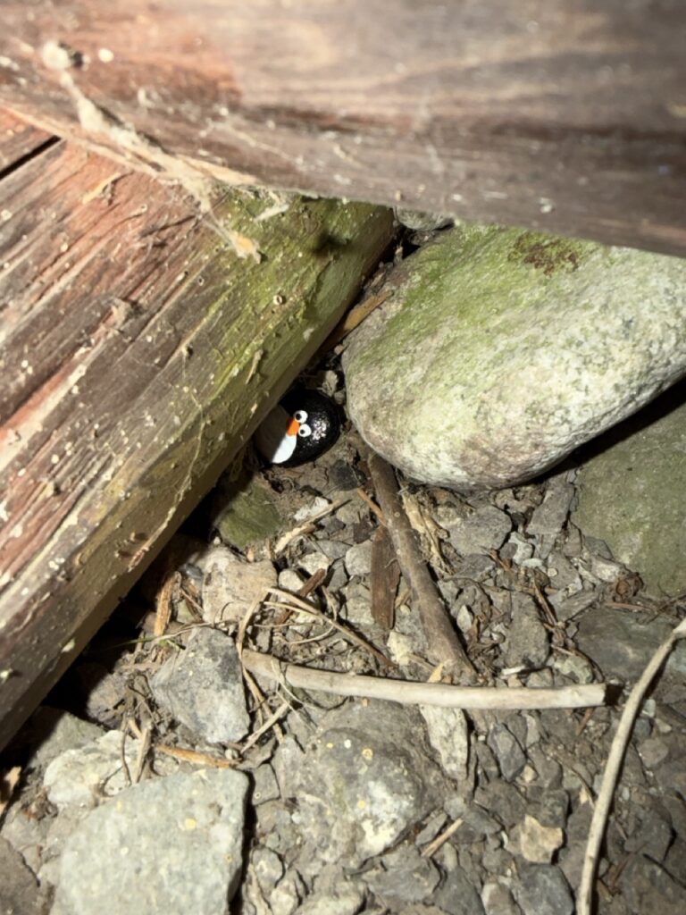 #782 – Razcestie pod Grunik, TANAP, Slovakia