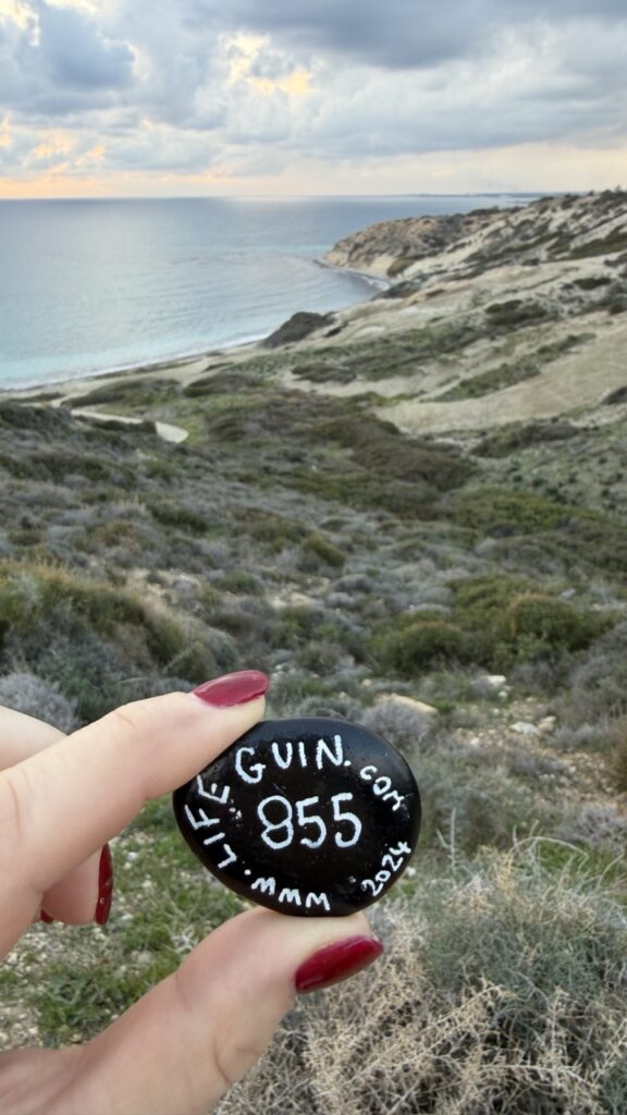 #855 – Wooden fence at Aphrodite Picknic Site, Cyprus