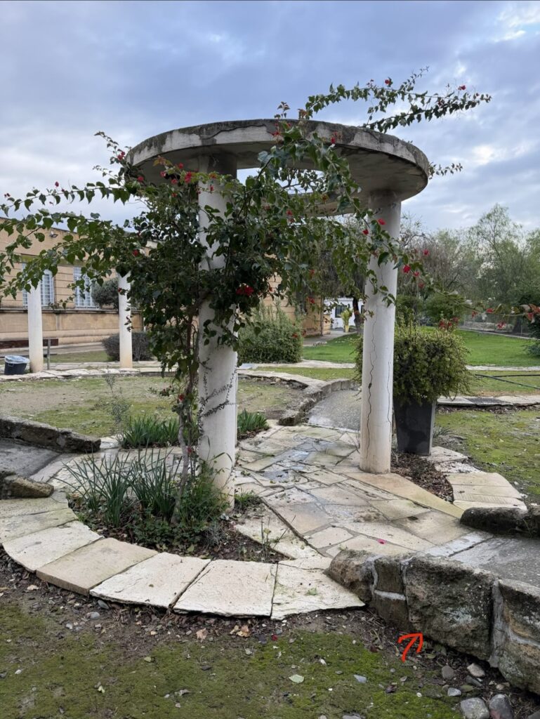 #889 – Eleftheria Park, Nicosia, Cyprus
