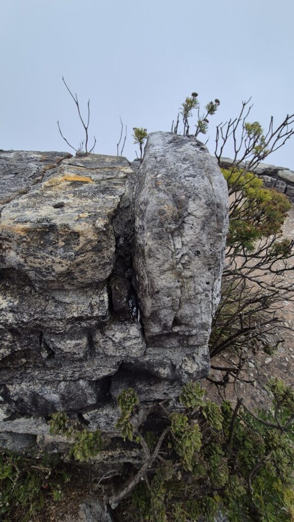 #386 – Top of Table Mountain, Cape Town, South Africa